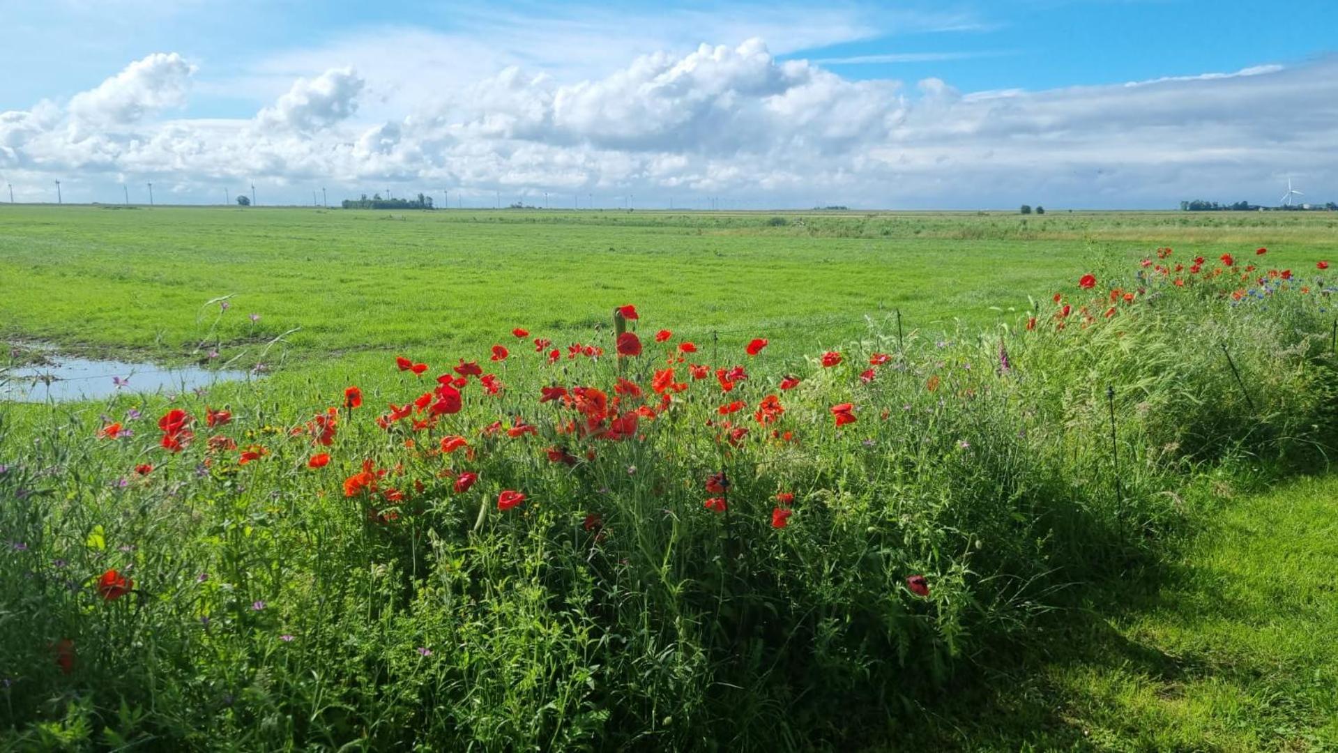 Lyklamastate Nijemirdum Esterno foto