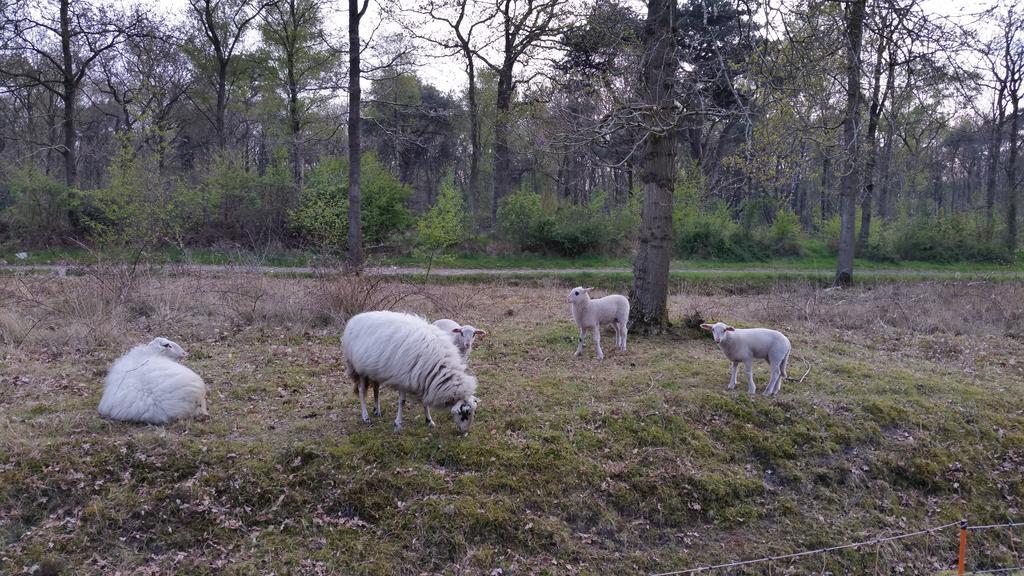 Lyklamastate Nijemirdum Esterno foto